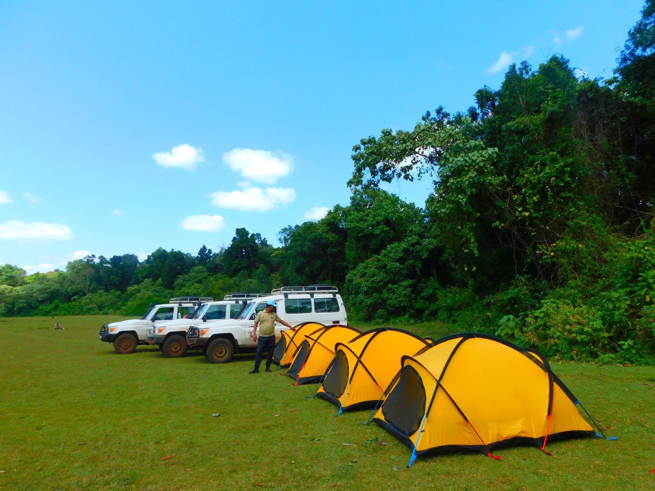 Bale Mountains National Park